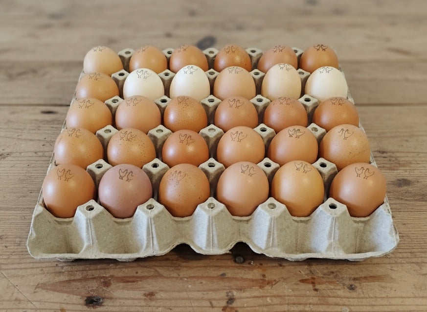1.5kg tray of 30 pasture-raised eggs
